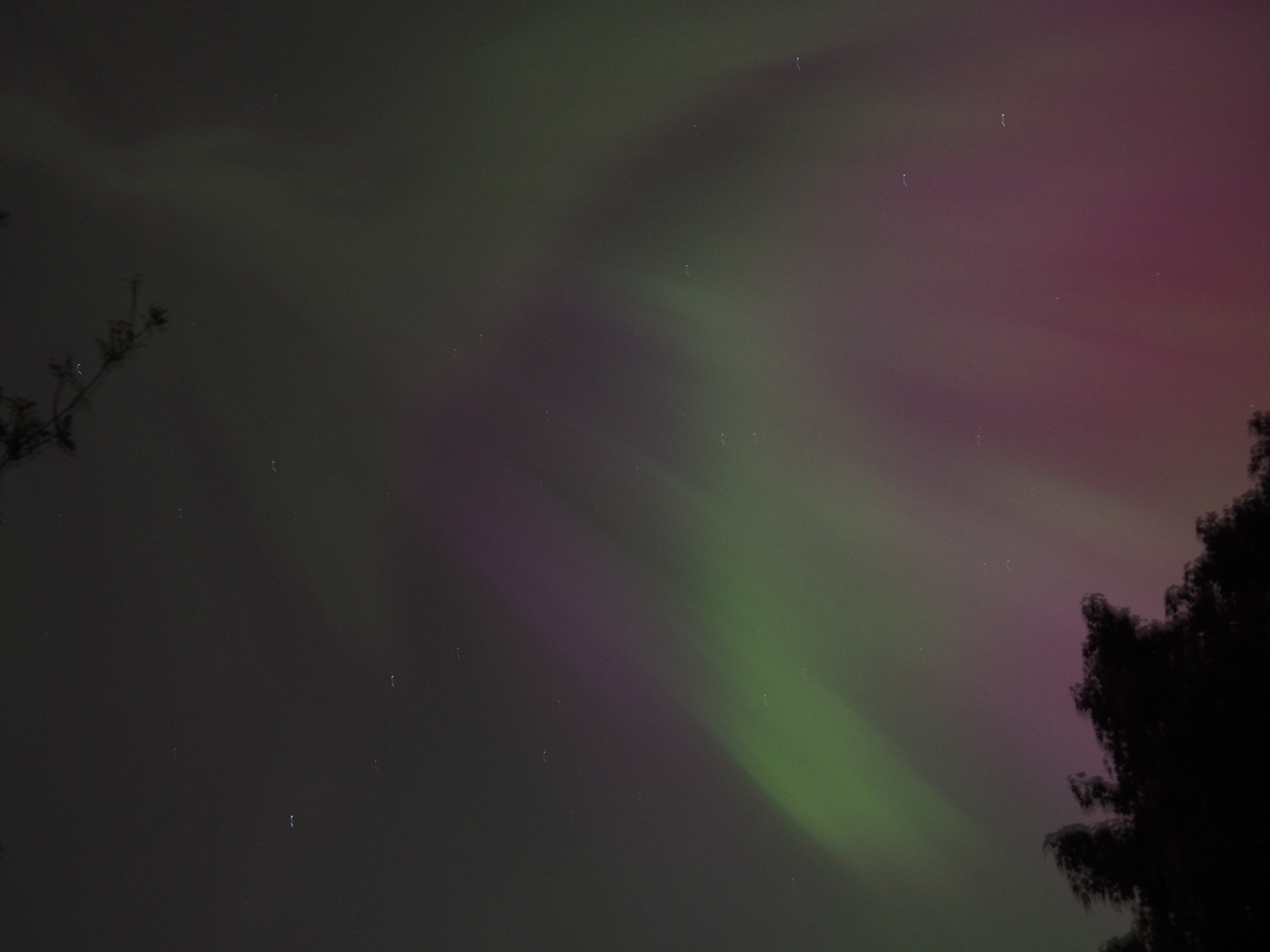 An aurora overhead